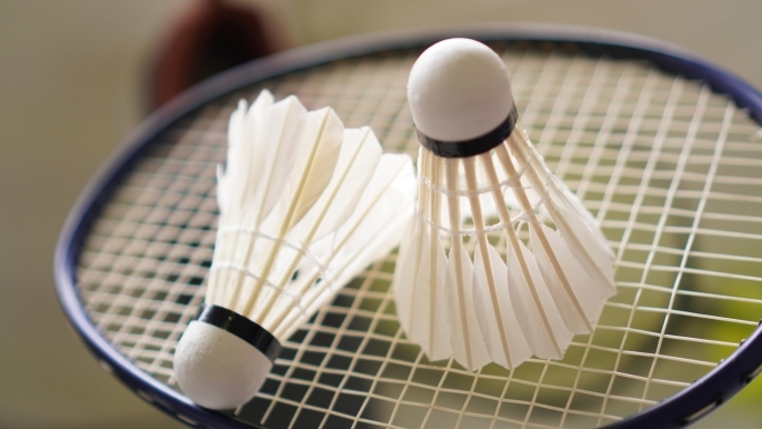 Badmintonclub Schollevaar